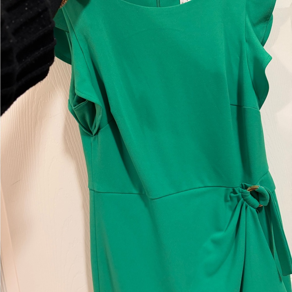 DKNY Elegant Green Dress